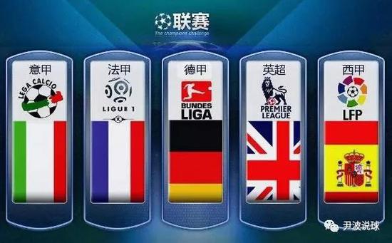 了中国羽毛